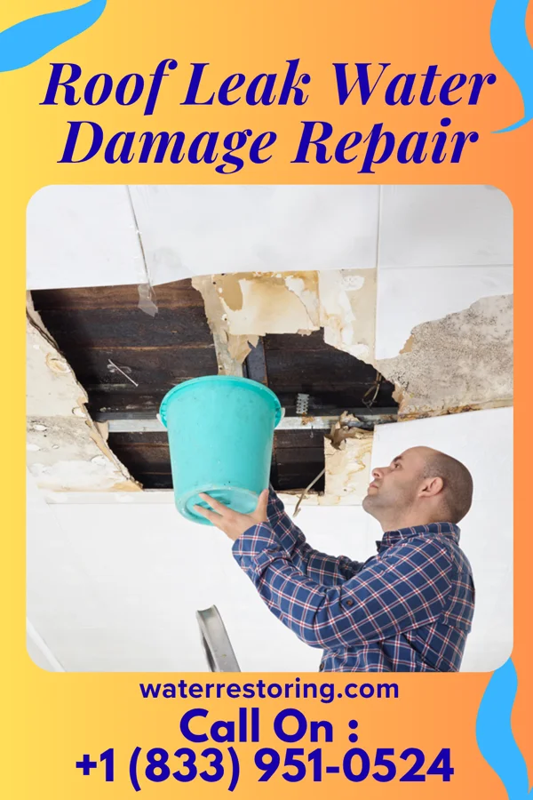 Roof Leak Water Damage Repair in Liberty, KY