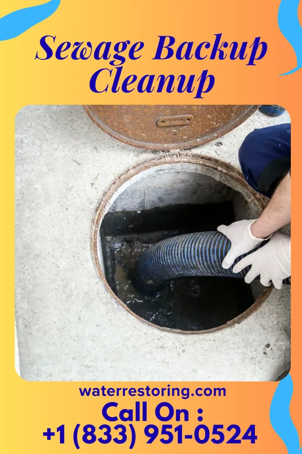 Sewage Backup Cleanup in Liberty, KY